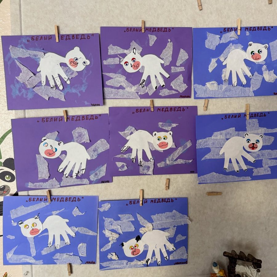 Polar bear paintings